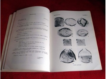 Travaux doc. de géo. tropicale n°16, mai 1974 : pollen spores d'afrique Assemien, Bonnefille - Éditions Ceget.