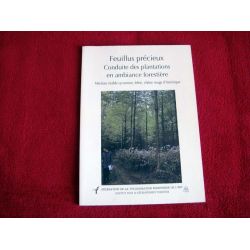 Feuillus précieux: Conduite des plantations en ambiance forestière  -  Merisier, érable sycomore, frêne, chêne rouge d'Amérique 