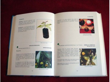 Fruitiers sauvages d'Afrique : Espèces du Cameroun  -  Vivien, Jacques - Faure, Jean-Jacques - Éditions Nguila-Kerou - 1996