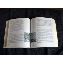 Les cafés littéraires : Vies, morts et miracles - Lemaire, Gérard-Georges - broché - Éditions de la Différence - 1997