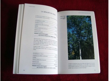 Le frêne en liberté  - Duflot, H - Éditions de l'Institut pour le développement Forestier - 1995