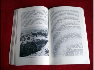 La poussiere et la cendre : paysages, dynamique des formations vegetales et strategies des societes - Monnier Yves - Éditions AC