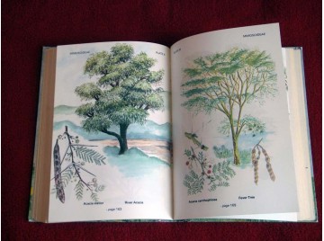 Trees of Kenya  -  Birnie, Ann and Noad, Tim - Éditions Kenway Publications - 2011 - Langue Anglaise.