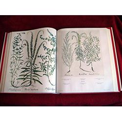 L'herbier : Toutes les planches  - Besler, Basilius - Éditions Taschen  - 2007 