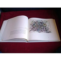 Jackson Pollock: Works on Paper - Rose, Bernice - Relié - Éditions du MOMA - 1969