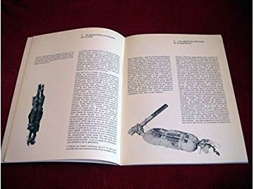 Titus Carmel, 61 dessins Lascault - Éditions de la Fondation Adrien Maeght - 1998