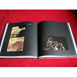 Camille Claudel : Le Miroir de la nuit  - Bouté, Gérard - Éditions de l'Amateur - 2004