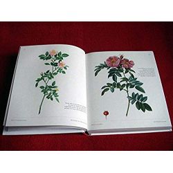 Roses : Gravures d'exception (1DVD) Redouté Pierre-Joseph- Sowerby James  -Congedo Fiorella - Éditions Cyel - 2011
