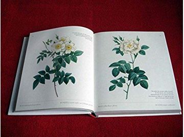 Roses : Gravures d'exception (1DVD) Redouté Pierre-Joseph- Sowerby James  -Congedo Fiorella - Éditions Cyel - 2011