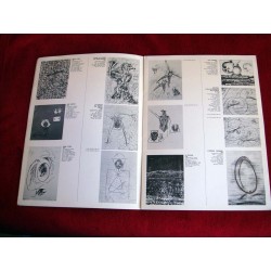 Max Ernst : Lithographies, 1966-1972 - Lebègue, Agnès, Loup, Françoise - Centre national d'art contemporain