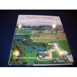 Bliesbruck: Village de la Gaule romaine - collectif - éditions Errance