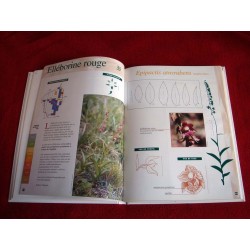 Atlas des orchidée sauvages Demarss - Société Française d'Orchidophilie - 2000.