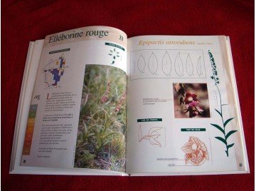 Atlas des orchidée sauvages Demarss - Société Française d'Orchidophilie - 2000.