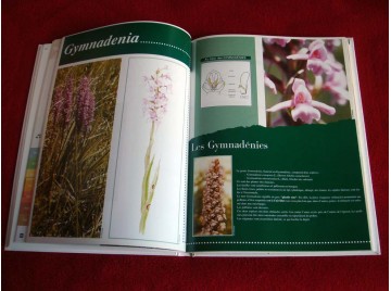 Atlas des orchidée sauvages Demarss - Société Française d'Orchidophilie - 2000.