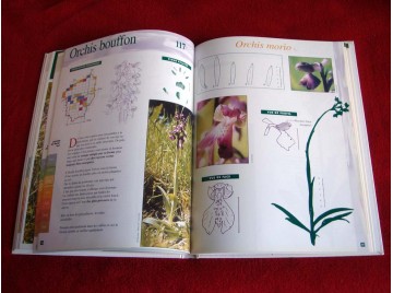 Atlas des orchidée sauvages Demarss - Société Française d'Orchidophilie - 2000.