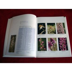 Atlas des orchidée sauvages Demarss - Société Française d'Orchidophilie - 2000.