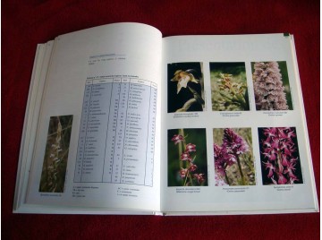 Atlas des orchidée sauvages Demarss - Société Française d'Orchidophilie - 2000.